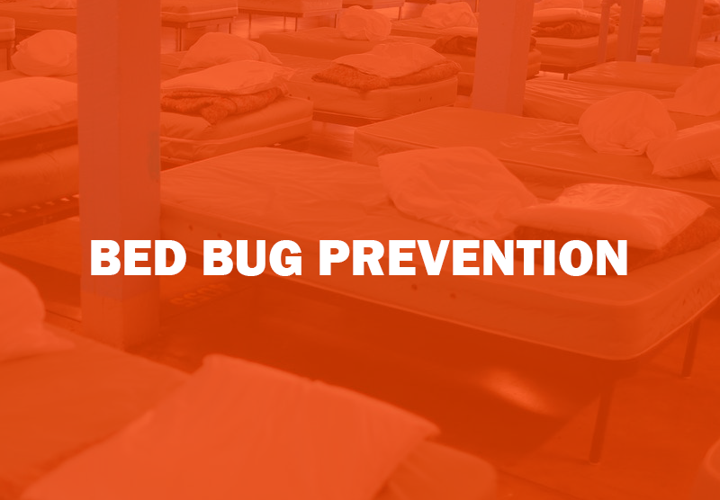 Bed Bug Prevention Products: Preventive actions may avoid future problems